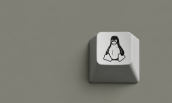 Featured image of post The Key That Did Nothing: My Journey Into the Linux Kernel