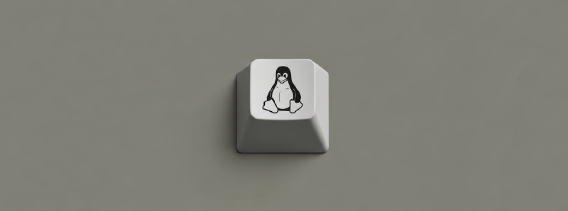 Featured image of post The Key That Did Nothing: My Journey Into the Linux Kernel